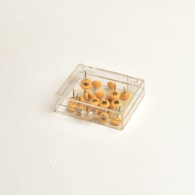 Museum of Yellow Objects by Noah Landow, photograph 1 of 46