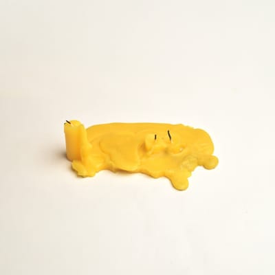 Museum of Yellow Objects by Noah Landow, photograph 36 of 46