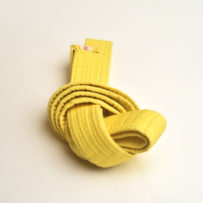 Museum of Yellow Objects by Noah Landow, photograph 37 of 46