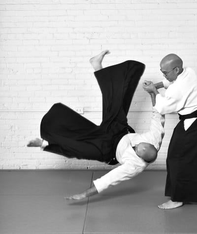 Yushinkan in Motion by Noah Landow, photograph 1 of 8