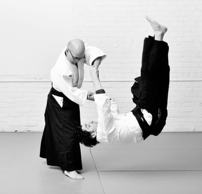 Yushinkan in Motion by Noah Landow, photograph 2 of 8