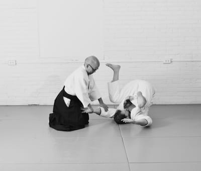 Yushinkan in Motion by Noah Landow, photograph 6 of 8
